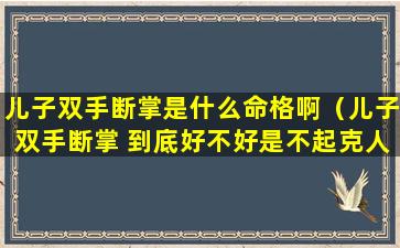 儿子双手断掌是什么命格啊（儿子双手断掌 到底好不好是不起克人）